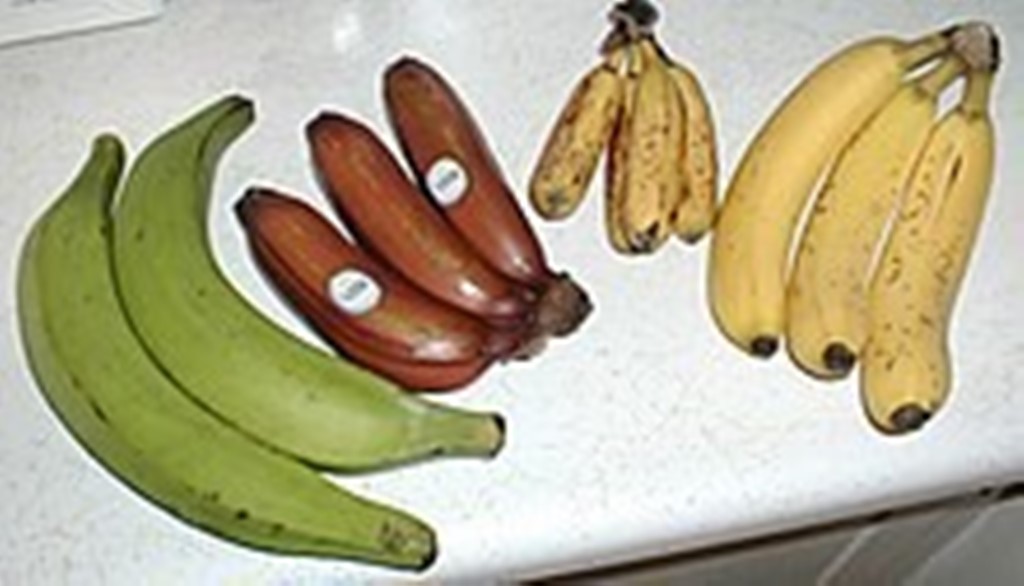 BANANO